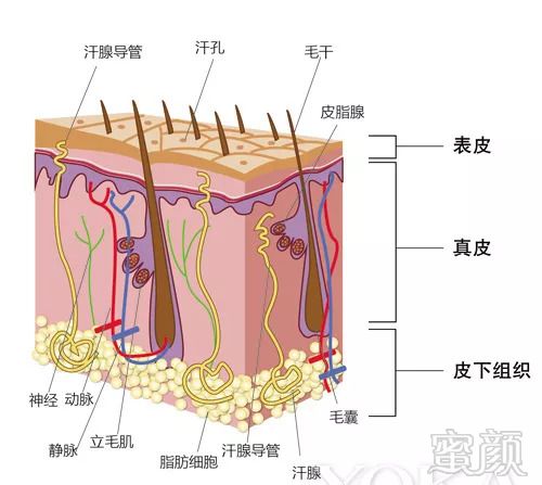 https://img.miyanlife.com/mnt/timg/180907/111H15E4-0.jpg