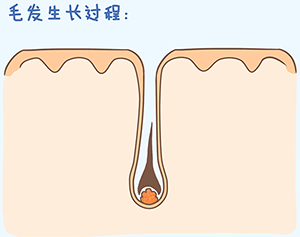 https://img.miyanlife.com/mnt/timg/180907/111H2C52-4.jpg