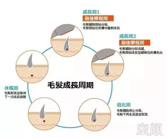 https://img.miyanlife.com/mnt/timg/180907/1213192216-3.jpg