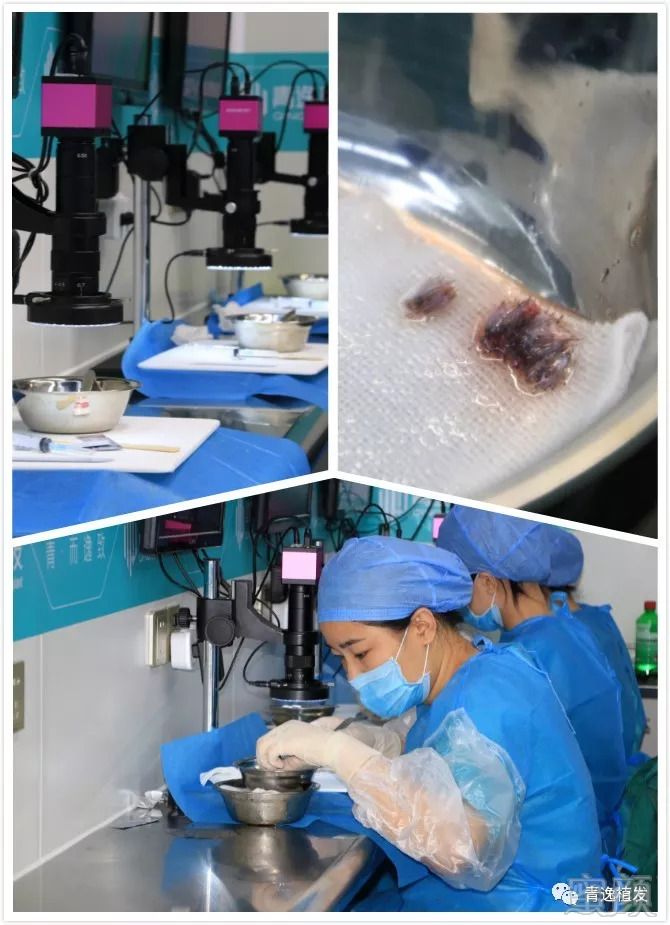 https://img.miyanlife.com/mnt/timg/180908/121622O10-7.jpg