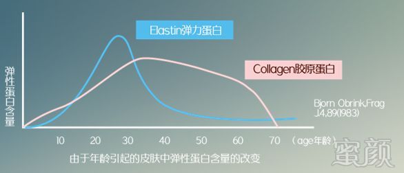 案例图片