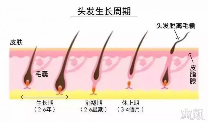 https://img.miyanlife.com/mnt/timg/180908/142S061P-3.jpg
