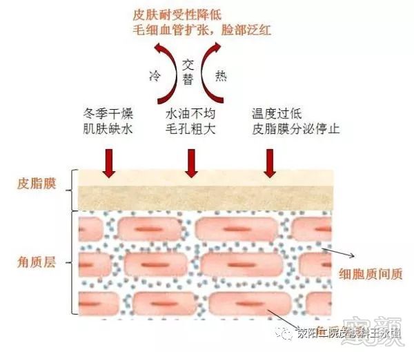 案例图片