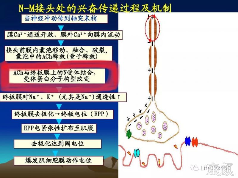 https://img.miyanlife.com/mnt/timg/180909/11020a5c-1.jpg