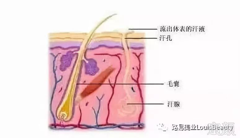 https://img.miyanlife.com/mnt/timg/180909/11493060I-12.jpg