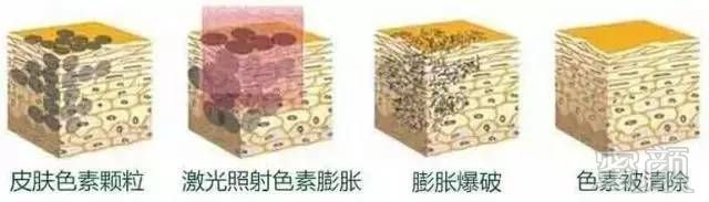 https://img.miyanlife.com/mnt/timg/180909/115233M03-2.jpg