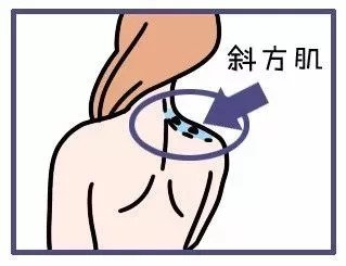 https://img.miyanlife.com/mnt/timg/180910/1205361338-12.jpg
