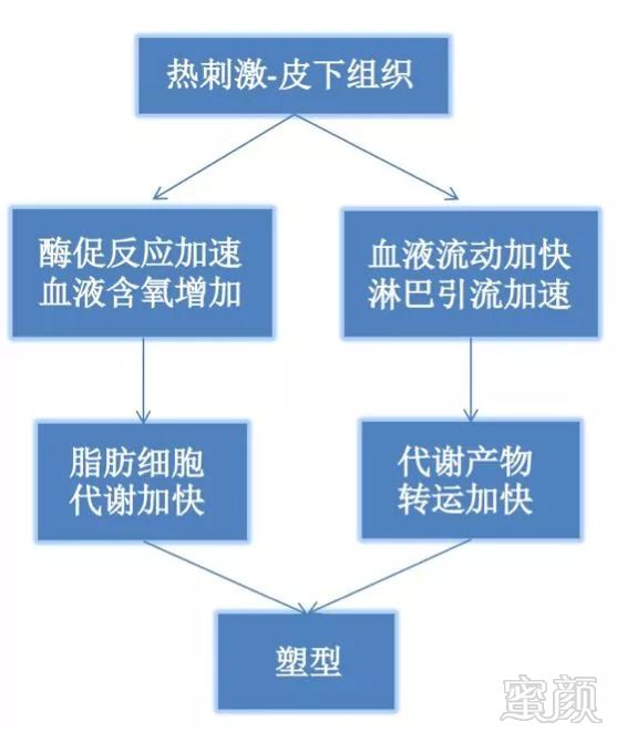 https://img.miyanlife.com/mnt/timg/180911/1131434563-6.jpg