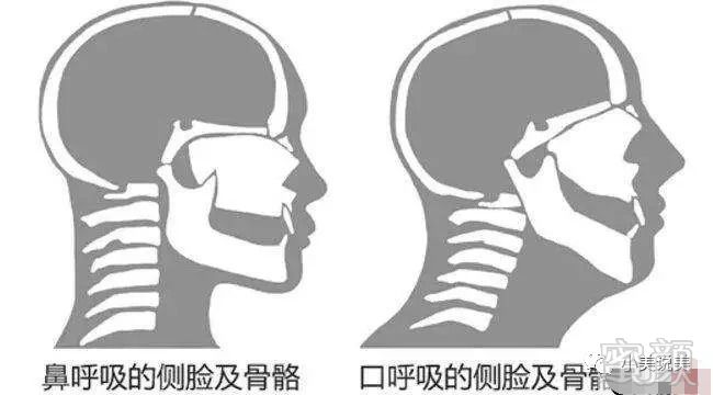 https://img.miyanlife.com/mnt/timg/180913/1311552E1-9.jpg
