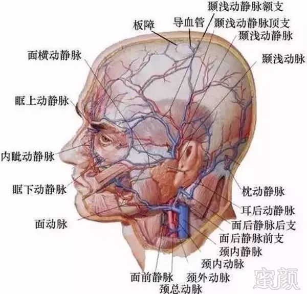 https://img.miyanlife.com/mnt/timg/180915/1046042Q4-4.jpg