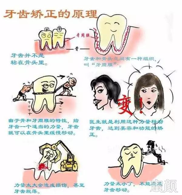https://img.miyanlife.com/mnt/timg/180915/11111V5U-3.jpg