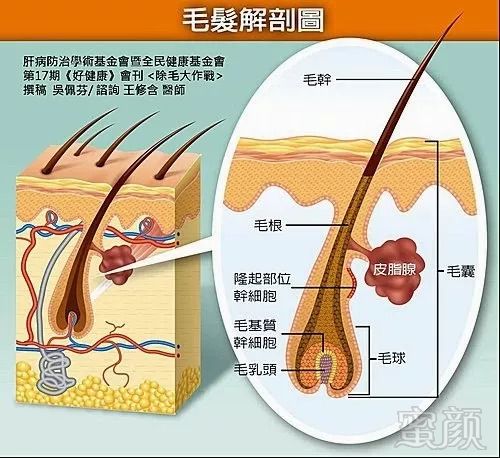 案例图片