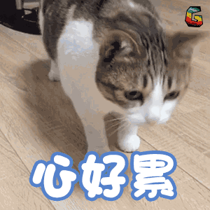 https://img.miyanlife.com/mnt/timg/180915/114922L56-3.jpg