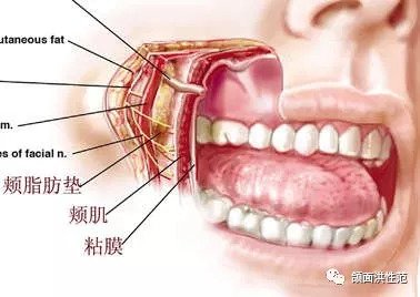 https://img.miyanlife.com/mnt/timg/180916/12351JT6-3.jpg