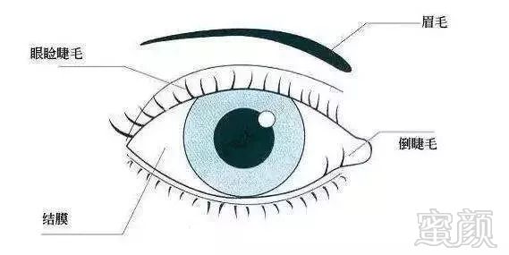 https://img.miyanlife.com/mnt/timg/180916/1305411096-7.jpg