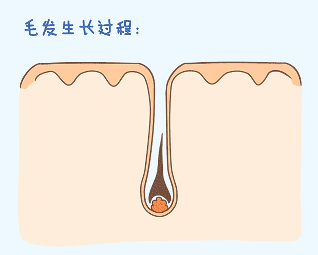 https://img.miyanlife.com/mnt/timg/180916/134J942H-7.jpg