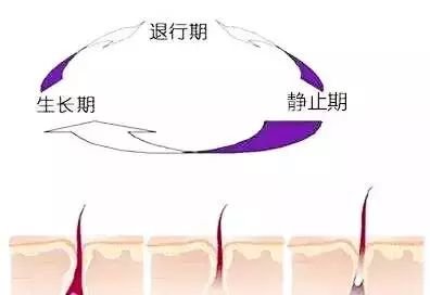 https://img.miyanlife.com/mnt/timg/180916/134J955X-6.jpg