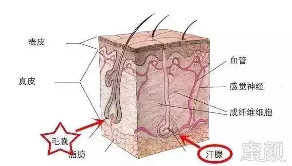 https://img.miyanlife.com/mnt/timg/180916/1410122B2-15.jpg
