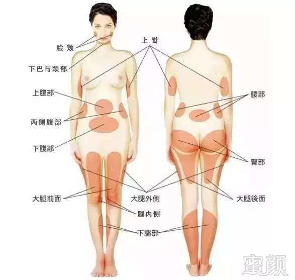 https://img.miyanlife.com/mnt/timg/180917/1125511W3-7.jpg