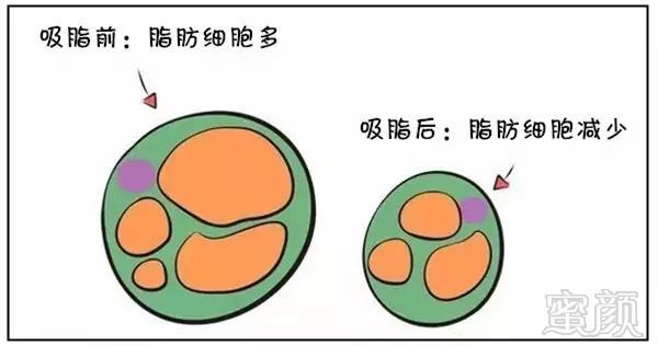 https://img.miyanlife.com/mnt/timg/180917/1125512945-6.jpg