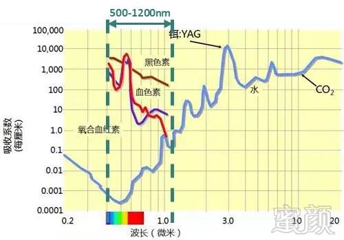 案例图片