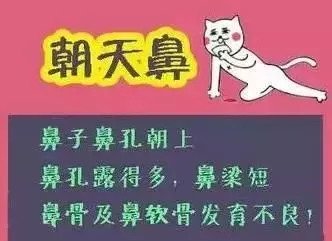 案例图片