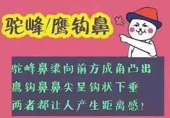 案例图片