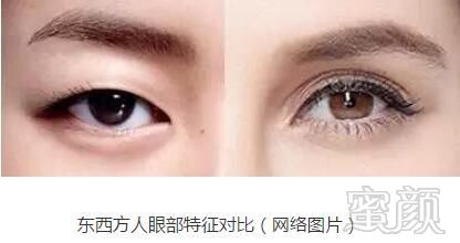 案例图片