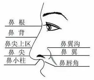 https://img.miyanlife.com/mnt/timg/180919/12231023V-0.jpg