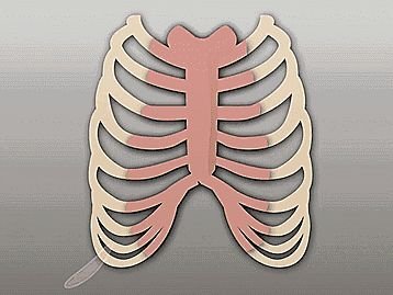https://img.miyanlife.com/mnt/timg/180920/1103161X9-8.jpg
