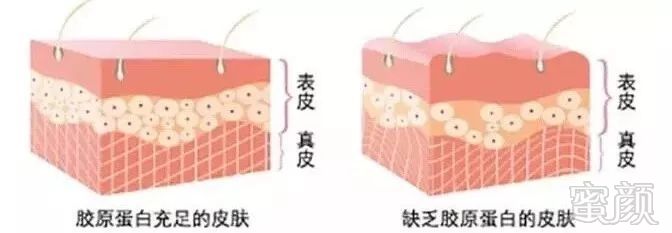 https://img.miyanlife.com/mnt/timg/180921/1202426494-0.jpg