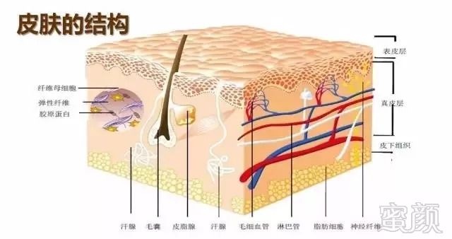 案例图片