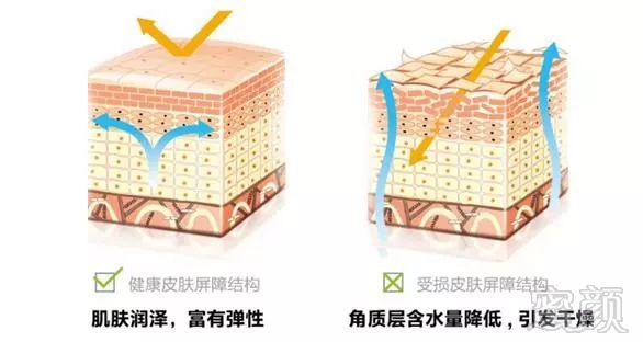 https://img.miyanlife.com/mnt/timg/180923/115U5IG-10.jpg