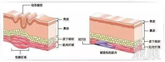 https://img.miyanlife.com/mnt/timg/180925/10512J229-7.jpg