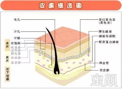 https://img.miyanlife.com/mnt/timg/180925/120P96213-3.jpg