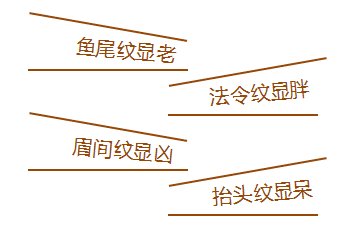 https://img.miyanlife.com/mnt/timg/180925/120PTY8-1.jpg