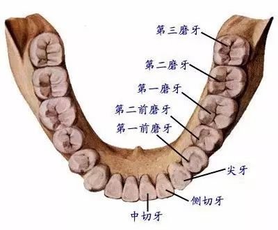 案例图片