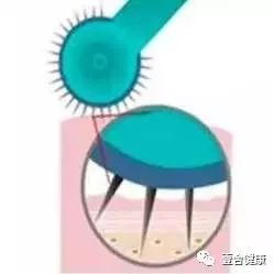 https://img.miyanlife.com/mnt/timg/180926/1140495332-1.jpg