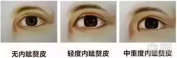 https://img.miyanlife.com/mnt/timg/180927/10542242S-0.jpg