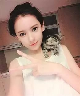 案例图片