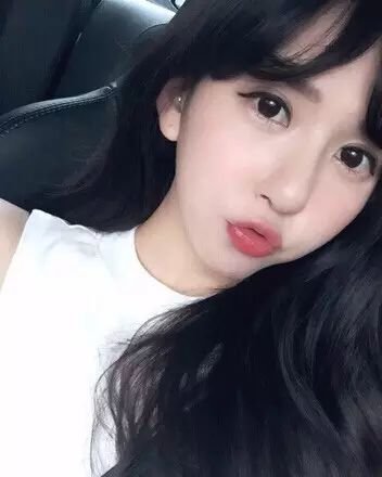 案例图片