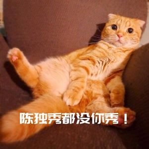 https://img.miyanlife.com/mnt/timg/180927/120223D14-0.jpg
