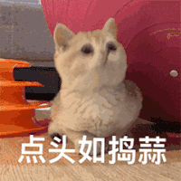 https://img.miyanlife.com/mnt/timg/180927/13325Bc0-1.jpg