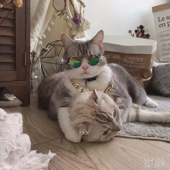 https://img.miyanlife.com/mnt/timg/180928/1250404417-4.jpg