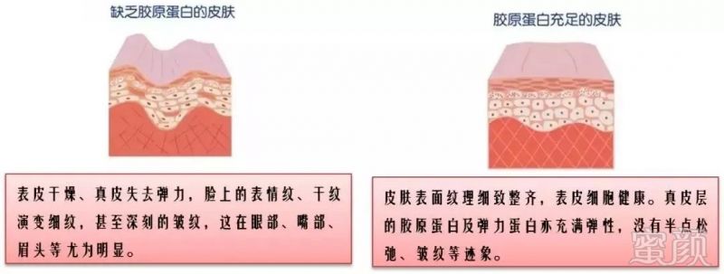 https://img.miyanlife.com/mnt/timg/180928/1409223V4-6.jpg