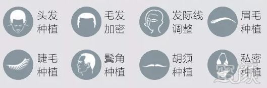 https://img.miyanlife.com/mnt/timg/180929/1043413C5-6.jpg