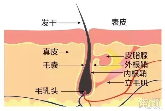 https://img.miyanlife.com/mnt/timg/180929/1134491J9-1.jpg