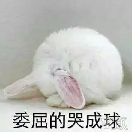 https://img.miyanlife.com/mnt/timg/180929/11354414X-4.jpg