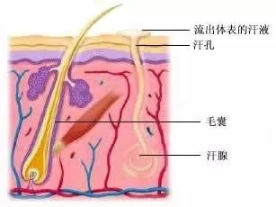 https://img.miyanlife.com/mnt/timg/181001/1101205954-5.jpg