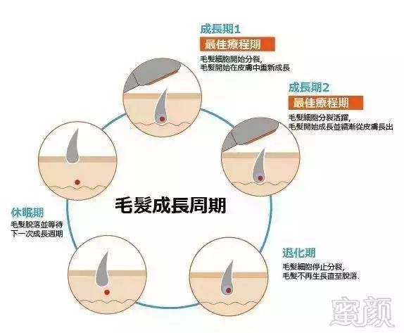 https://img.miyanlife.com/mnt/timg/181001/1220251Y8-3.jpg